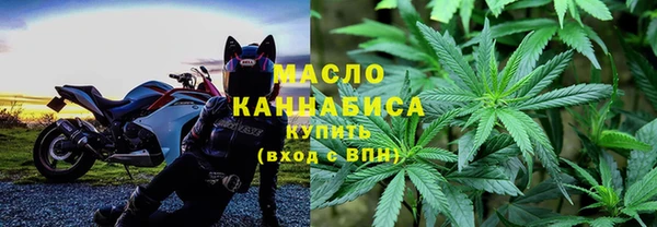 шишки Белая Холуница