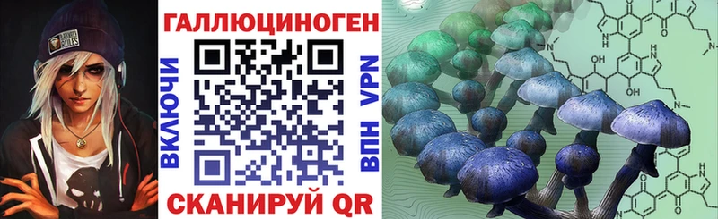 хочу   Беломорск  Галлюциногенные грибы Magic Shrooms 